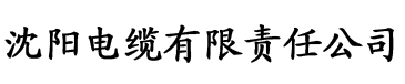 亚洲一区二区二区电缆厂logo